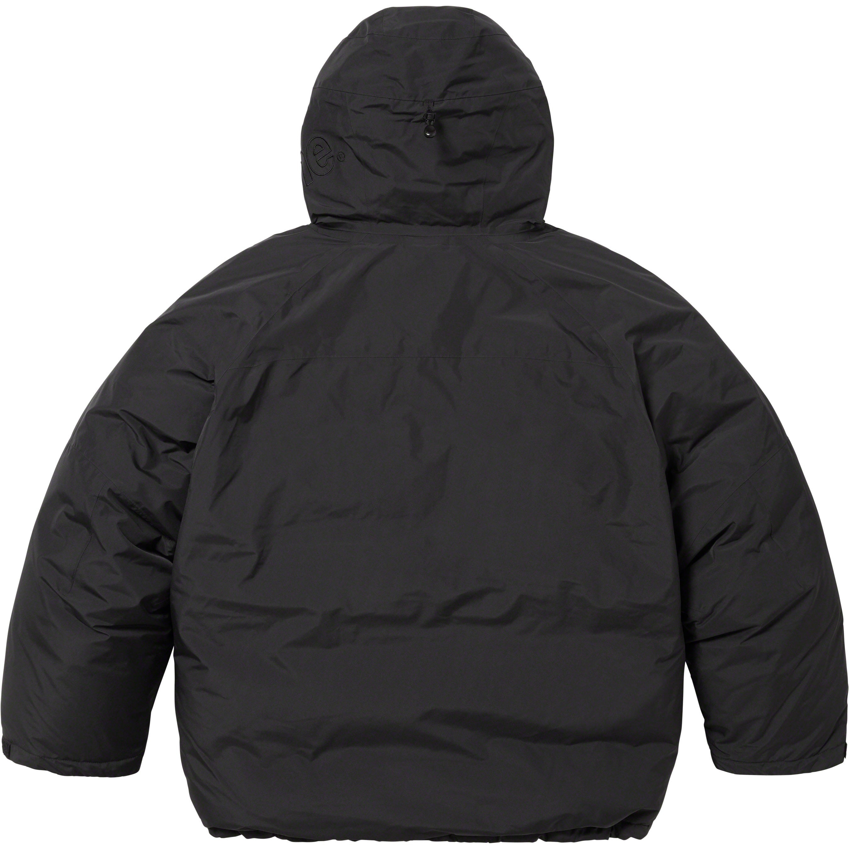 GORE-TEX 700-Fill Down Parka view 19